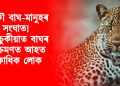 আকৌ বাঘ-মানুহৰ সংঘাত! তিনিচুকীয়াত বাঘৰ আক্ৰমণত আহত একাধিক লোক