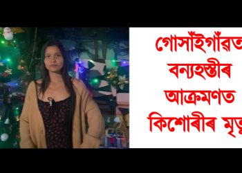 হস্তী-মানৱৰ সংঘাত : গোসাঁইগাঁৱত বন্যহস্তীৰ আক্ৰমণত কিশোৰীৰ মৃত্যু