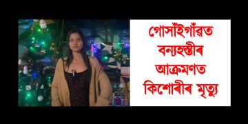 হস্তী-মানৱৰ সংঘাত : গোসাঁইগাঁৱত বন্যহস্তীৰ আক্ৰমণত কিশোৰীৰ মৃত্যু