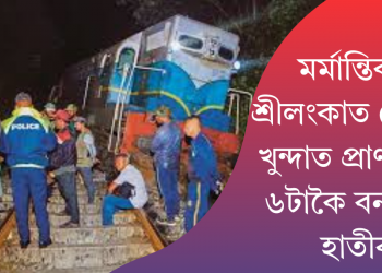 মৰ্মান্তিক! শ্ৰীলংকাত ৰে’লৰ খুন্দাত প্ৰাণ গ’ল ৬টাকৈ হাতীৰ