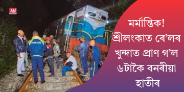 মৰ্মান্তিক! শ্ৰীলংকাত ৰে’লৰ খুন্দাত প্ৰাণ গ’ল ৬টাকৈ হাতীৰ