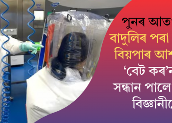 পুনৰ আতংক? বাদুলিৰ পৰা কৰ’না বিয়পাৰ আশংকা! ‘বেট কৰ’না’ৰ সন্ধান পালে চীনৰ বিজ্ঞানীয়ে