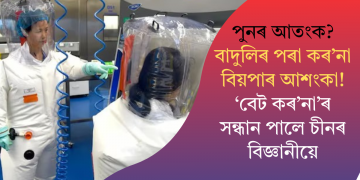 পুনৰ আতংক? বাদুলিৰ পৰা কৰ’না বিয়পাৰ আশংকা! ‘বেট কৰ’না’ৰ সন্ধান পালে চীনৰ বিজ্ঞানীয়ে