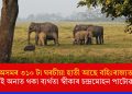 অসমৰ ৩১০ টা ঘৰচীয়া হাতী আছে বহিঃৰাজ্যতঃ  ঘূৰাই অনাত থকা ব্যৰ্থতা স্বীকাৰ চন্দ্ৰমোহন পাটোৱাৰীৰ