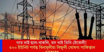 গাত নাই ছাল-বাকলি, মদ খাই তিনি টেকেলী! ৩০০ ইউনিট পৰ্যন্ত বিনামূলীয়া বিজুলী ঘোষণা পাকিস্তান চৰকাৰৰ