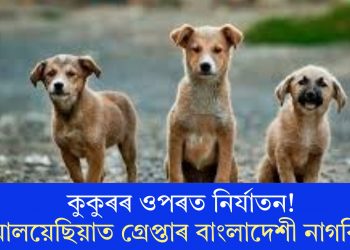 কুকুৰৰ ওপৰত নিৰ্যাতন! মালয়েছিয়াত গ্ৰেপ্তাৰ বাংলাদেশী নাগৰিক