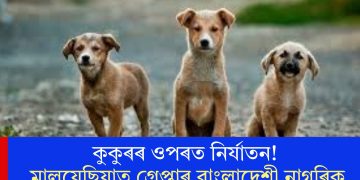 কুকুৰৰ ওপৰত নিৰ্যাতন! মালয়েছিয়াত গ্ৰেপ্তাৰ বাংলাদেশী নাগৰিক