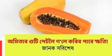 অমিতাৰ গুটি পেটলৈ গ’লে কৰিব পাৰে ক্ষতি! জানক সবিশেষ