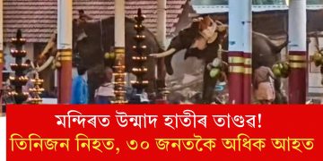 মন্দিৰত উন্মাদ হাতীৰ তাণ্ডৱ! তিনিজন নিহত, ৩০ জনতকৈ অধিক আহত