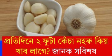 প্ৰতিদিনে ২ ফুটা কেঁচা নহৰু কিয় খাব লাগে? জানক সবিশষ