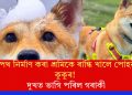 ঘাইপথ নিৰ্মাণ কৰা শ্ৰমিকে ৰান্ধি খালে পোহনীয়া কুকুৰ! দুখত ভাগি পৰিল গৰাকী