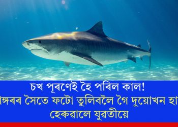 চখ পূৰণেই হৈ পৰিল কাল! হাঙ্গৰৰ সৈতে ফটো তুলিবলৈ গৈ দুয়োখন হাত হেৰুৱালে যুৱতীয়ে