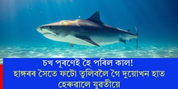 চখ পূৰণেই হৈ পৰিল কাল! হাঙ্গৰৰ সৈতে ফটো তুলিবলৈ গৈ দুয়োখন হাত হেৰুৱালে যুৱতীয়ে