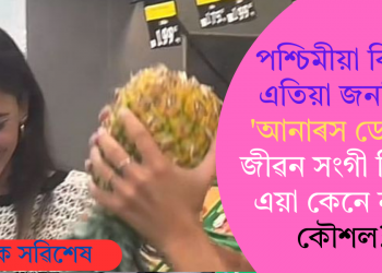 পশ্চিমীয়া বিশ্বত এতিয়া জনপ্ৰিয় ‘আনাৰস ডেটিং’; জীৱন সংগী বিচাৰি এয়া কেনে নতুন কৌশল?