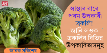 স্বাস্থ্যৰ বাবে পৰম উপকাৰী ব্ৰকলি! জানি লওক ব্ৰকলিৰ বিভিন্ন উপকাৰিতাসমূহ