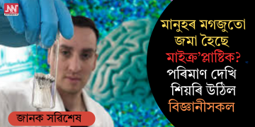 মানুহৰ মগজুতো জমা হৈছে মাইক্ৰ’প্লাষ্টিক? পৰিমাণ দেখি শিয়ৰি উঠিল বিজ্ঞানীসকল