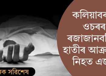 কলিয়াবৰৰ ওচৰৰ ৰজাজানবস্তিত বনৰীয়া হাতীৰ আক্ৰমণত নিহত এজন