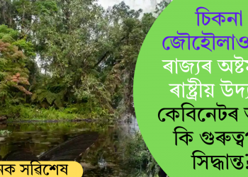 চিকনা জৌহৌলাও হ’ব ৰাজ্যৰ অষ্টমখন ৰাষ্ট্ৰীয় উদ্যান; কেবিনেটৰ আৰু কি গুৰুত্বপূৰ্ণ সিদ্ধান্ত?