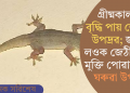 গ্ৰীষ্মকালত বৃদ্ধি পায় জেঠীৰ উপদ্ৰৱ; জানি লওক জেঠীৰ পৰা মুক্তি পোৱাৰ ৫টা ঘৰুৱা উপায়