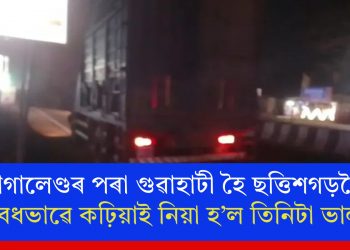নাগালেণ্ডৰ পৰা গুৱাহাটী হৈ ছত্তিশগড়লৈ অবৈধভাৱে কঢ়িয়াই নিয়া হ’ল তিনিটা ভালুক!