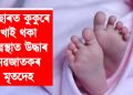 পাষাণ পিতৃ-মাতৃ! কাছাৰত কুকুৰে খাই থকা অৱস্থাত উদ্ধাৰ নৱজাতকৰ মৃতদেহ