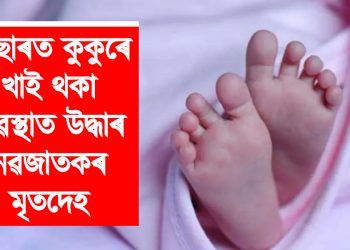 পাষাণ পিতৃ-মাতৃ! কাছাৰত কুকুৰে খাই থকা অৱস্থাত উদ্ধাৰ নৱজাতকৰ মৃতদেহ