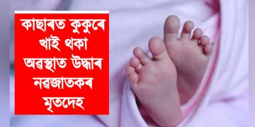 পাষাণ পিতৃ-মাতৃ! কাছাৰত কুকুৰে খাই থকা অৱস্থাত উদ্ধাৰ নৱজাতকৰ মৃতদেহ
