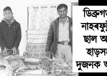 ডিব্ৰুগড়ত নাহৰফুটুকী ছাল আৰু হাড়সহ আটক দুজনক