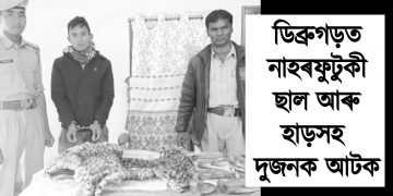 ডিব্ৰুগড়ত নাহৰফুটুকী ছাল আৰু হাড়সহ আটক দুজনক