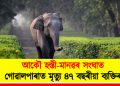 আকৌ হস্তী-মানৱৰ সংঘাত : গোৱালপাৰাত মৃত্যু ৪৭ বছৰীয়া ব্যক্তিৰ