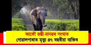 আকৌ হস্তী-মানৱৰ সংঘাত : গোৱালপাৰাত মৃত্যু ৪৭ বছৰীয়া ব্যক্তিৰ