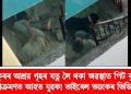 কুকুৰৰ আশ্ৰয় গৃহৰ যত্ন লৈ থকা অৱস্থাত পিট বুলৰ আক্ৰমণত আহত যুৱক! ভাইৰেল ভয়ংকৰ ভিডিঅ’