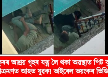 কুকুৰৰ আশ্ৰয় গৃহৰ যত্ন লৈ থকা অৱস্থাত পিট বুলৰ আক্ৰমণত আহত যুৱক! ভাইৰেল ভয়ংকৰ ভিডিঅ’