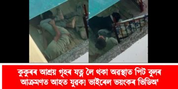 কুকুৰৰ আশ্ৰয় গৃহৰ যত্ন লৈ থকা অৱস্থাত পিট বুলৰ আক্ৰমণত আহত যুৱক! ভাইৰেল ভয়ংকৰ ভিডিঅ’