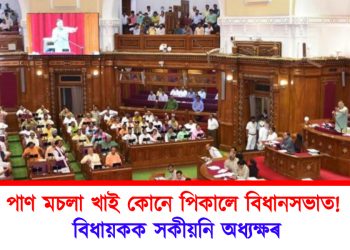 পাণ মচলা খাই কোনে পিকালে বিধানসভাত! বিধায়কক সকীয়নি অধ্যক্ষৰ
