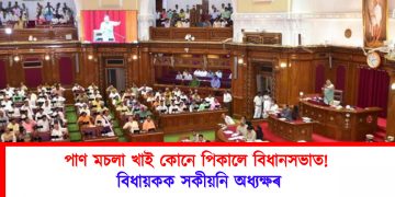 পাণ মচলা খাই কোনে পিকালে বিধানসভাত! বিধায়কক সকীয়নি অধ্যক্ষৰ
