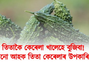তিতাকৈ কেৰেলা খালেহে বুজিবা! জানো আহক তিতা কেৰেলাৰ উপকাৰিতা
