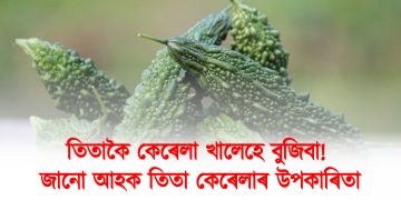তিতাকৈ কেৰেলা খালেহে বুজিবা! জানো আহক তিতা কেৰেলাৰ উপকাৰিতা