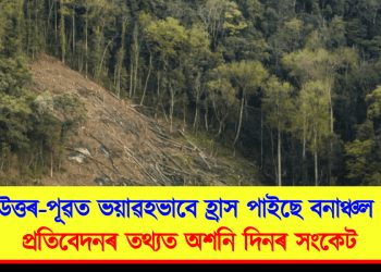উত্তৰ-পূৱত ভয়াৱহভাবে হ্ৰাস পাইছে বনাঞ্চল : প্ৰতিবেদনৰ তথ্যত অশনি দিনৰ সংকেট