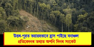 উত্তৰ-পূৱত ভয়াৱহভাবে হ্ৰাস পাইছে বনাঞ্চল : প্ৰতিবেদনৰ তথ্যত অশনি দিনৰ সংকেট