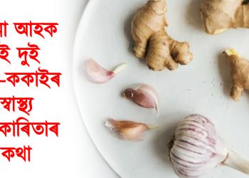 আদা-নহৰু : জানো আহক এই দুই ভাই-ককাইৰ স্বাস্থ্য উপকাৰিতাৰ কথা