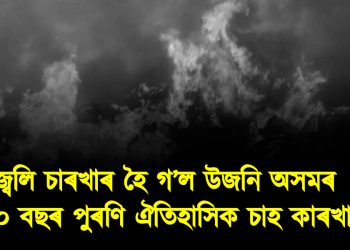 জ্বলি চাৰখাৰ হৈ গ’ল উজনি অসমৰ ১২০ বছৰ পুৰণি ঐতিহাসিক চাহ কাৰখানা