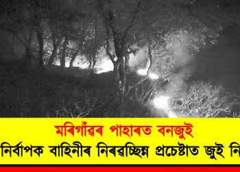 মৰিগাঁৱৰ পাহাৰত বনজুই : অগ্নিনিৰ্বাপক বাহিনীৰ নিৰৱচ্ছিন্ন প্ৰচেষ্টাত জুই নিৰ্বাপন