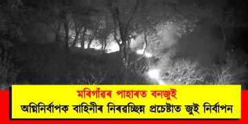 মৰিগাঁৱৰ পাহাৰত বনজুই : অগ্নিনিৰ্বাপক বাহিনীৰ নিৰৱচ্ছিন্ন প্ৰচেষ্টাত জুই নিৰ্বাপন