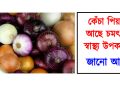 কেঁচা পিয়াজৰ আছে চমৎকাৰী স্বাস্থ্য উপকাৰিতা : জানো আহক