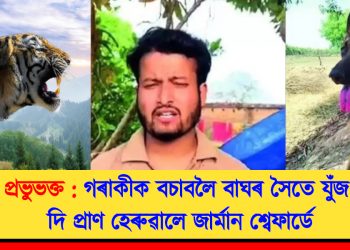 প্ৰভুভক্ত : গৰাকীক বচাবলৈ বাঘৰ সৈতে যুঁজ দি প্ৰাণ হেৰুৱালে জাৰ্মান শ্বেফাৰ্ডে
