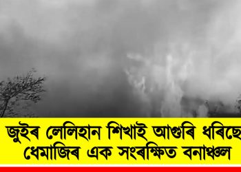 জুইৰ লেলিহান শিখাই আগুৰি ধৰিছে ধেমাজিৰ এক সংৰক্ষিত বনাঞ্চল