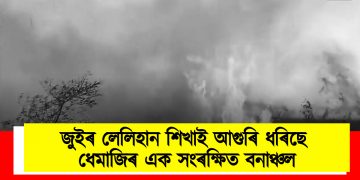 জুইৰ লেলিহান শিখাই আগুৰি ধৰিছে ধেমাজিৰ এক সংৰক্ষিত বনাঞ্চল