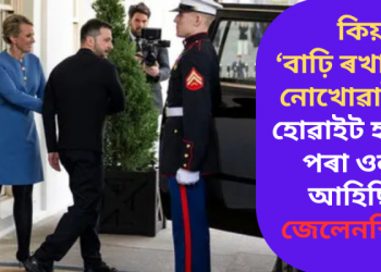 যেন আলেকজেণ্ডাৰৰ আগত পুৰু! কিয় ‘বাঢ়ি ৰখা ভাত’ নোখোৱাকৈয়ে হোৱাইট হাউছৰ পৰা ওলাই আহিছিল জেলেনস্কিয়ে?