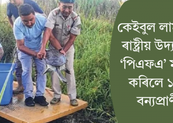 কেইবুল লামজাও ৰাষ্ট্ৰীয় উদ্যানত ‘পিএফএ’ মুকলি কৰিলে ১০টা বন্যপ্ৰাণী